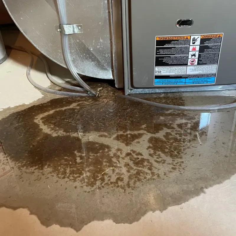 Pipe Burst and Leak Restoration in Lancaster, PA